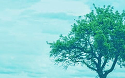 �������С��������̰�����˼