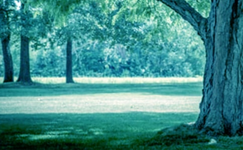 ��������С�ݺʹ����������