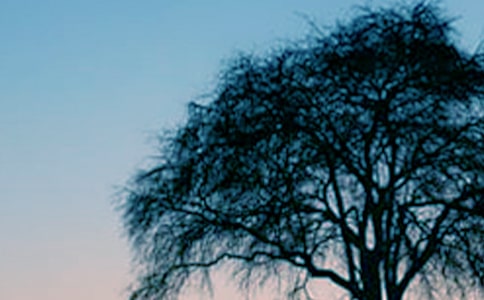 �����Ĺ��½�ѧ��˼(����12ƪ)