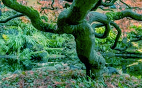 [�ر�]��С�ݺʹ����������15ƪ