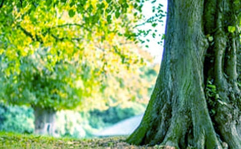 2022��С�ݺʹ����������