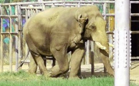 ����Ķ����һ��ʱ˵�θ巶�ģ�ͨ��11ƪ��