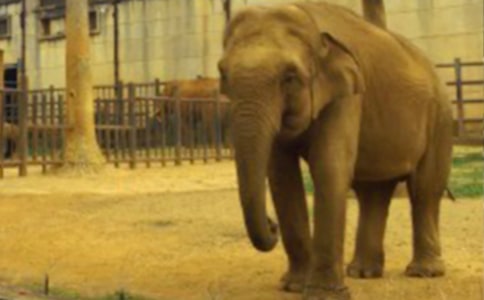 ������Ķ��䡷��ѧ��˼