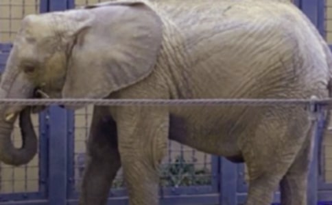 С�����ԡ���������ӡ��̰�