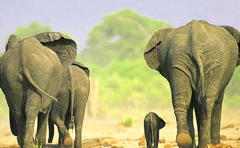 �����С���Ӵ���ֽ̰�