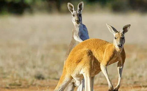 ���������衷��ѧ��˼