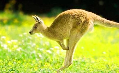 С����Ϸ��������̰�����˼