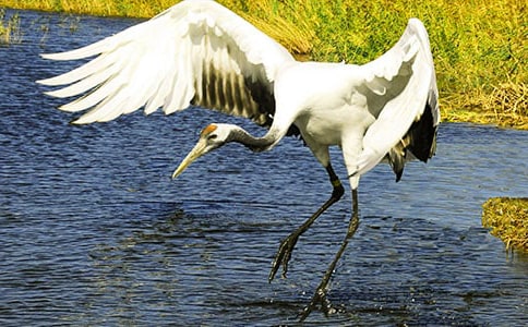 �������ĵ����ס��ڶ���ʱ��ѧ��˼