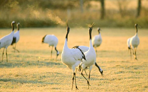 �������ĵ����ס��̰�15ƪ