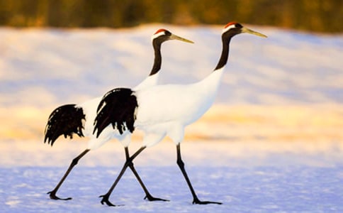 �������ĵ����ס���ѧ��˼(15ƪ)