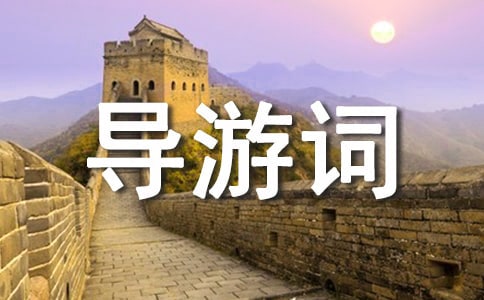 �������쵼�δ�