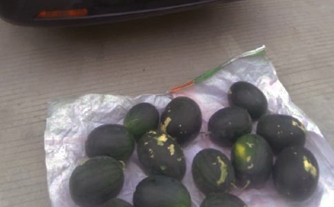 ��ѧ����ҵ�ӿ����̯��ʼ����