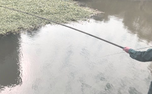 �������ʾ�̰�ͨ��15ƪ