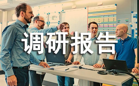 计划生育工作调研报告6篇