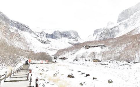 ������ͨ��ȫ�ĵ����