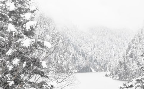 ������Ⱦ�����ذ��̰����ģ���ѡ9ƪ��