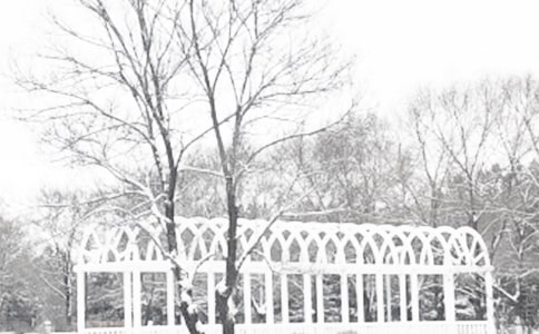 �ﶬ���ڵ��ʺ���