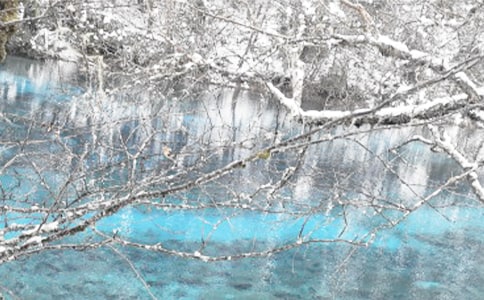 С�ඬ���������̰����ģ�ͨ��10ƪ��