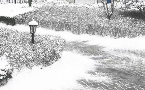 ����������̰����ģ���ѡ17ƪ��