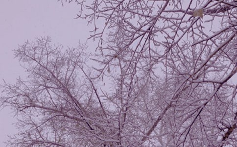 ��������ů�Ļ�ܽ�