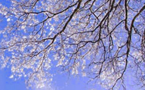 ���ڶ�����Ծ��ӻ���50��