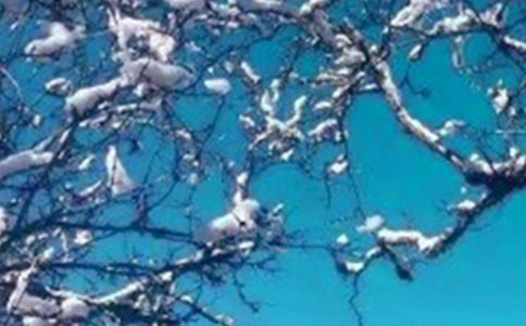 《济南的冬天》教案