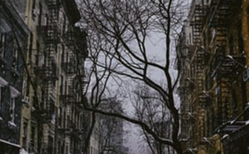 ����ף�������Ψ������