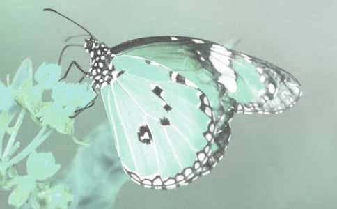 Ұ����ֲ���ջ�ܽᣨ��ѡ9ƪ��