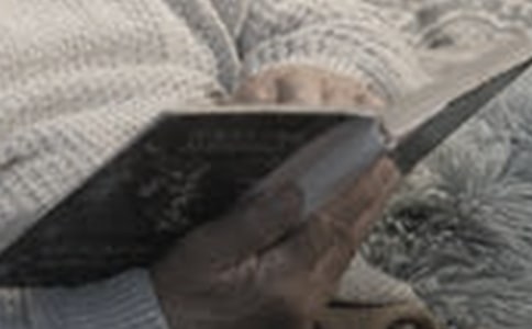 ������ϵķ��Ը�