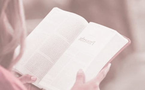 世界读书日国旗下演讲稿范文