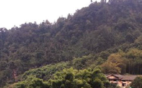 ����üɽ�¸衷�̰� 