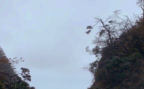 ����üɽ�¸衷�̰�8ƪ