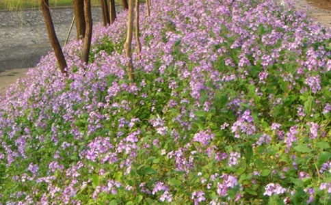 ���������������