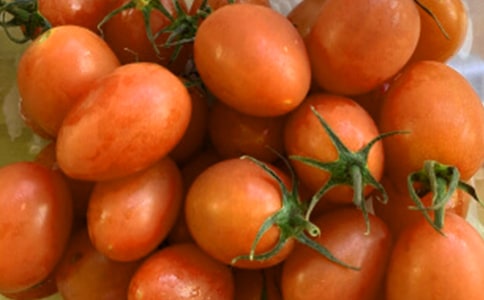 С���ۺϽ̰�:�ǰ跬��