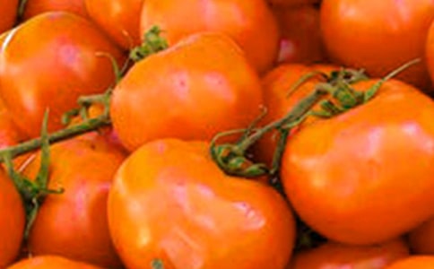 ������̫������ѧ��˼15ƪ