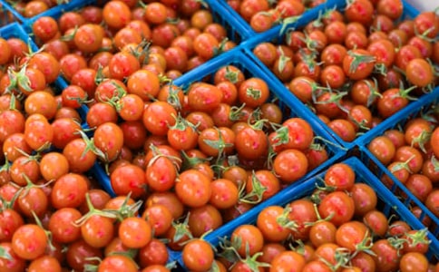 С�����Է��Ѻ��˽̰�4ƪ