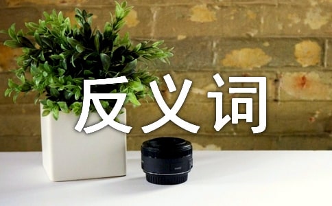 反义词大班语言教案