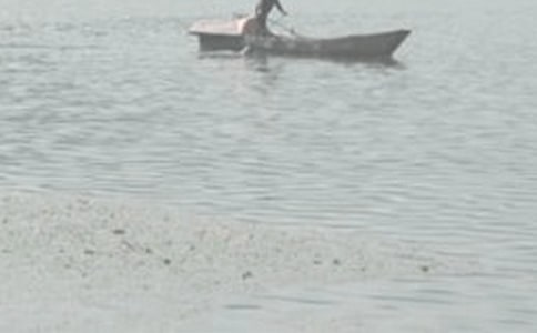 �����շ��ۺ��ϡ��̰�