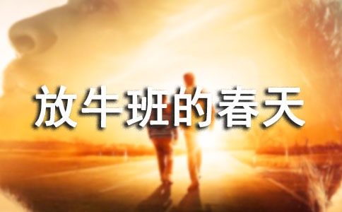 ��ţ��Ĵ���ۺ��и�