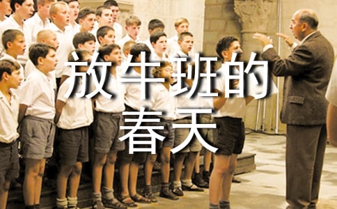 ��ţ��Ĵ���ۺ��Ӱ��