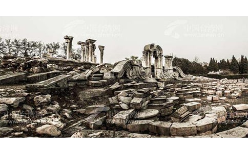 �������ķ��桷�и�