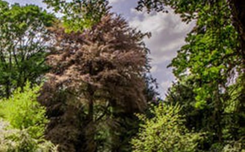 ��ɽ���η羰�����δʣ���ѡ6ƪ��