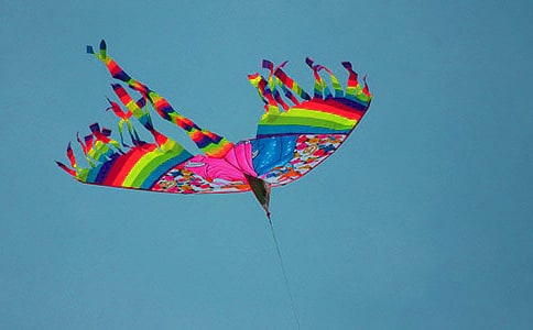 《放风筝》教学反思