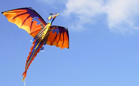 ���ݽ�ѧ��˼����