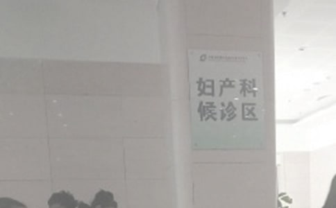 ���š������ƹ����ƻ�15ƪ