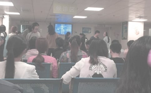 �����ƻ�ʦ�����ܽ�