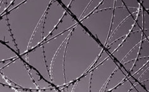 ������ҵ��ȫ�ĵ����