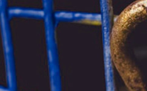 ��������־���ۺ�У���ѡ5ƪ��