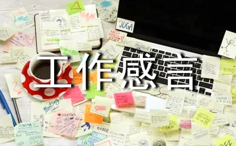 ���չ�������