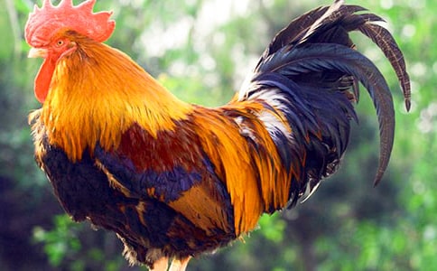 �����ֵ�С��������ѧ��˼8ƪ